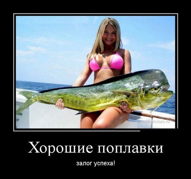 Хорошие поплавки залог успеха