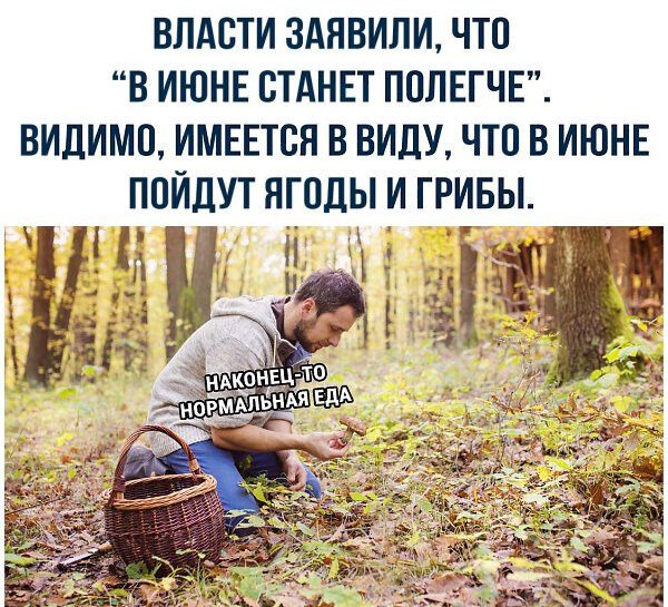 влдсти здявили что в ИЮНЕ стднвт пплвгчг видимо имеется в видучто в ИЮНЕ пойдут ягоды и гривы 5у 331