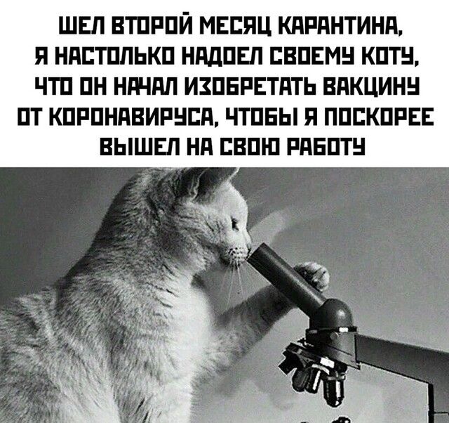 ШЕП ВТПРПЙ МЕСЯЦ КдРдНТИНд Я НПЕТПЛЬКП НддПЕЛ ЕВПЕМН КПТН ЧТП ПН НГНПП ИЗПЕРЕТПТЬ ВПКЦИНН ПТ КПРПНдВИРНЕд ЧТПЕЫ Я ППЕКПРЕЕ ВЫШЕЛ Нд ЕКШ П РПЕПТН