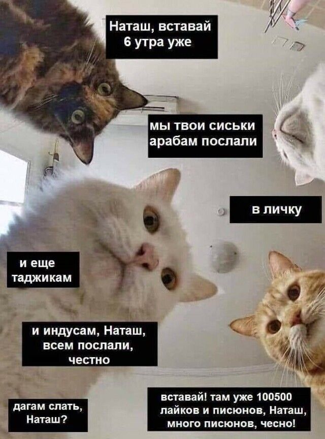 Наташ вставай 6 утра уже мы твои сиськи арабам послали о и индусам Наташ о _ всем ПОСПЕПИ ЧЕСТНО вставай там уже 100500 дагам пайков и писюнов Наташ Наташ много писюиов чесно