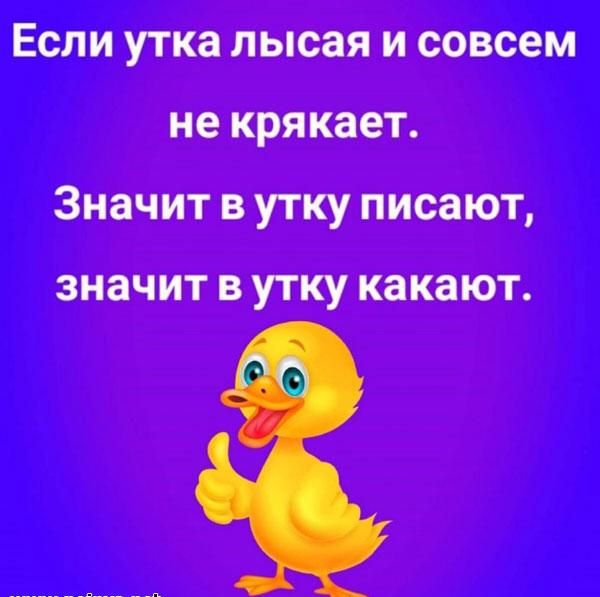 Если утка лысая и совсем не крякает Значит в утку писают ЗНЗЧИТ В УТКУ КЗКЗЮТ