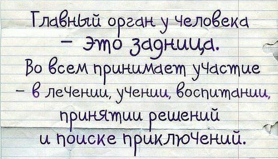 Глцёный ога у Челоевка это даэнцыд Во всем пРцюжмает уЧцсщце ЛеЧеныц уЧенцы оспшщанцц _Щщнэщыы ешеный Шиоцске пРцклюЧеі ЩГГ