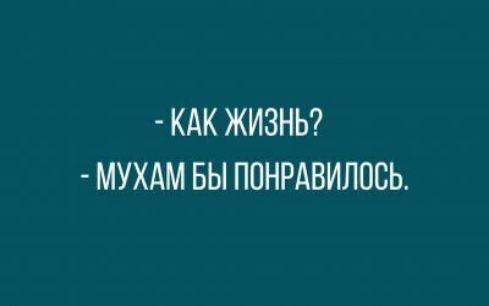 КАК ЖИЗНЬ МУХАМ БЫ ПОНРАВИЛПСЬ