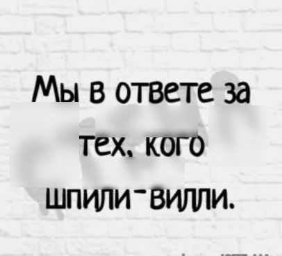 Мы в ответе за тех кого шпили вигши