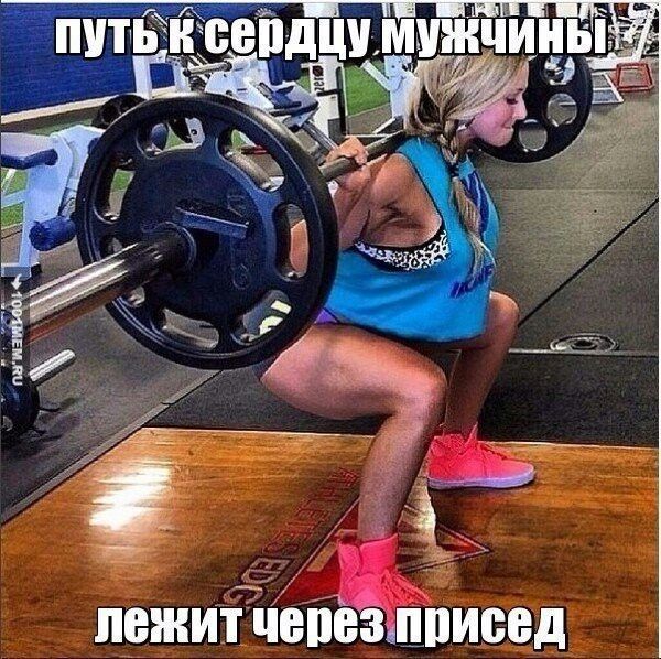 пежитЁіёпёёяцписед