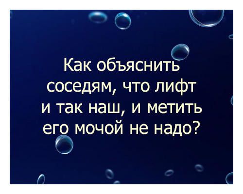 Как объяснить соседям что лифт и так наш и метить ег9 мочой не надо