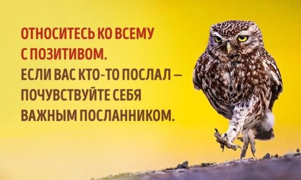 ОТНОСИТЕСЬ КО ВСЕМУ С ПОЗИТИВОМ ЕСЛИ ВАС КТО ТО ПОСЛАП ПОЧУВСТВУЙТЕ СЕБЯ ВАЖНЫМ ПОСЛАННИКОМ
