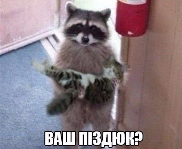 ВПШ ШЗДЮК