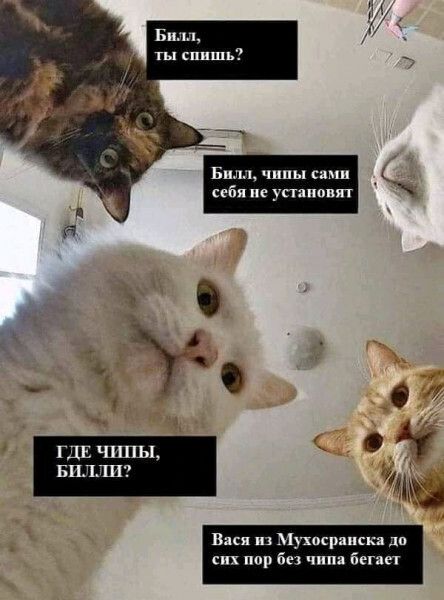 к Вася Мухпципсп пп пор бы чим Бег