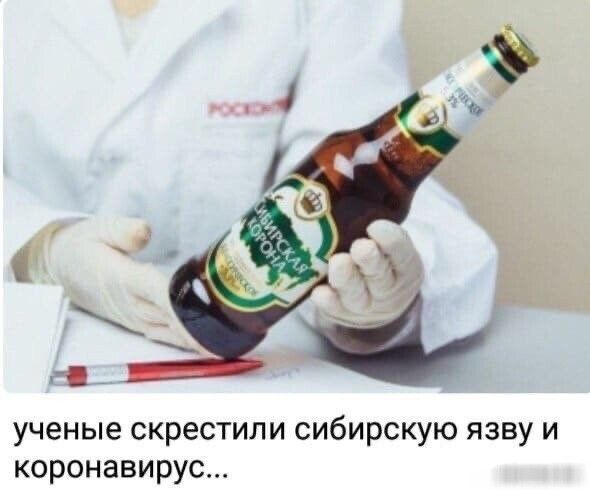 г ученые скрестили сибирскую язву и коронавирус