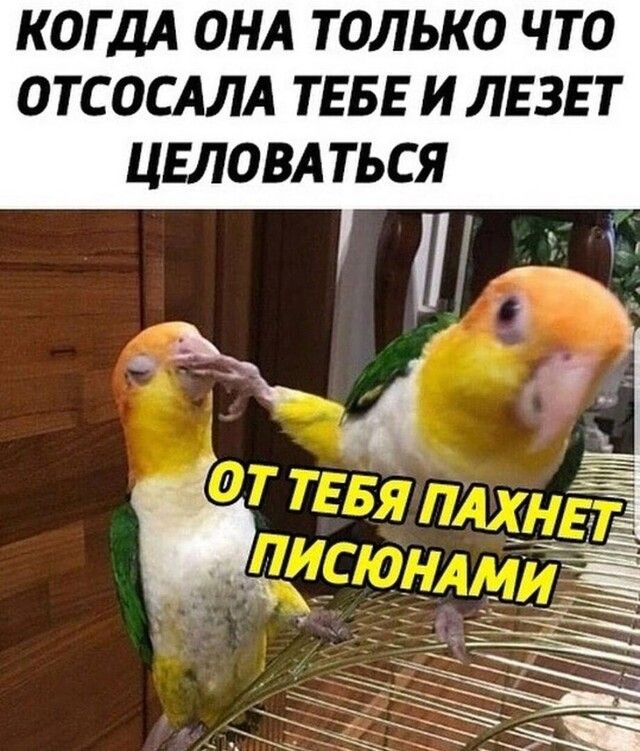 КОГДА ОНА ТОЛЬКО ЧТО ОТСОСАЛА ТЕБЕ И ЛЕЗЕТ ЦЕЛОВАТЬСЯ