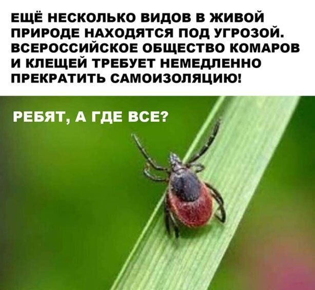 ЕЩЁ несколько видов в живой природе цАходятся под угрозой всероссииское овщество комдров И КЛЕЩЕЙ ТРЕБУЕТ НЕМЕДЛЕННО ПРЕКРАТИТЬ САМОИЗОЛЯЦИЮ РЕБЯТ А ГДЕ ВСЕ