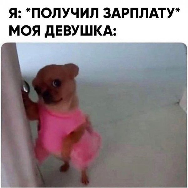 Я ПОЛУЧИЛ ЗАРПЛАТУ МОЯ дЕВУШКА __лн