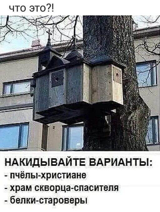 что это Ш ш НАКИДЫВАЙТЕ ВАРИАНТЫ пчёлы христиане храм скворца спаситепя белки староверы
