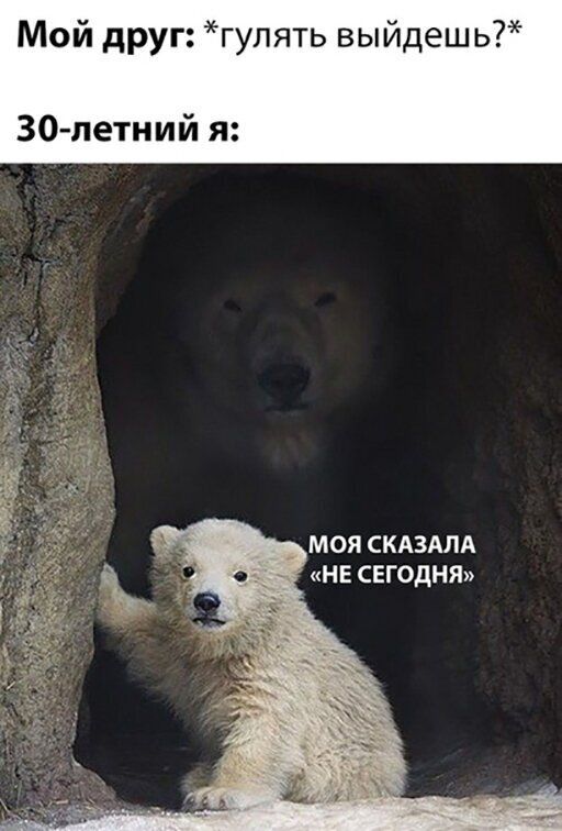 Мой друг гулять выйдешь 30летний я МОЯ СКАЗАЛА НЕ СЕГОДНЯ