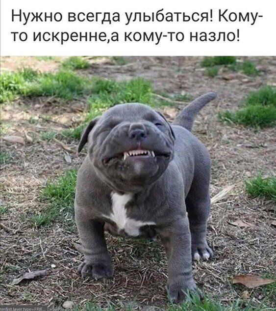 Нужно всегда улыбаться Кому то искреннеа кому то назло