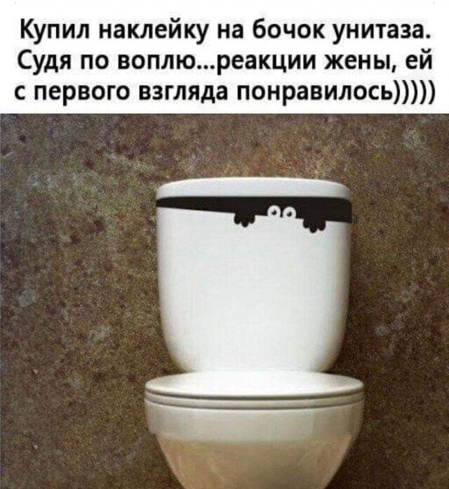 Купил наклейку на бочок унитаза Судя по воплюреакции жены ей с первого взгляда понравилось