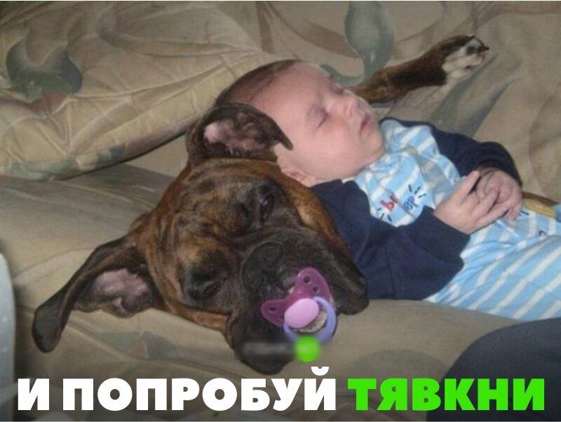 ШППРЧЫЙ