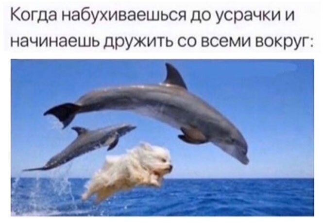 Когда набухиваешься до усрачки и начинаешь дружить со всеми вокруг