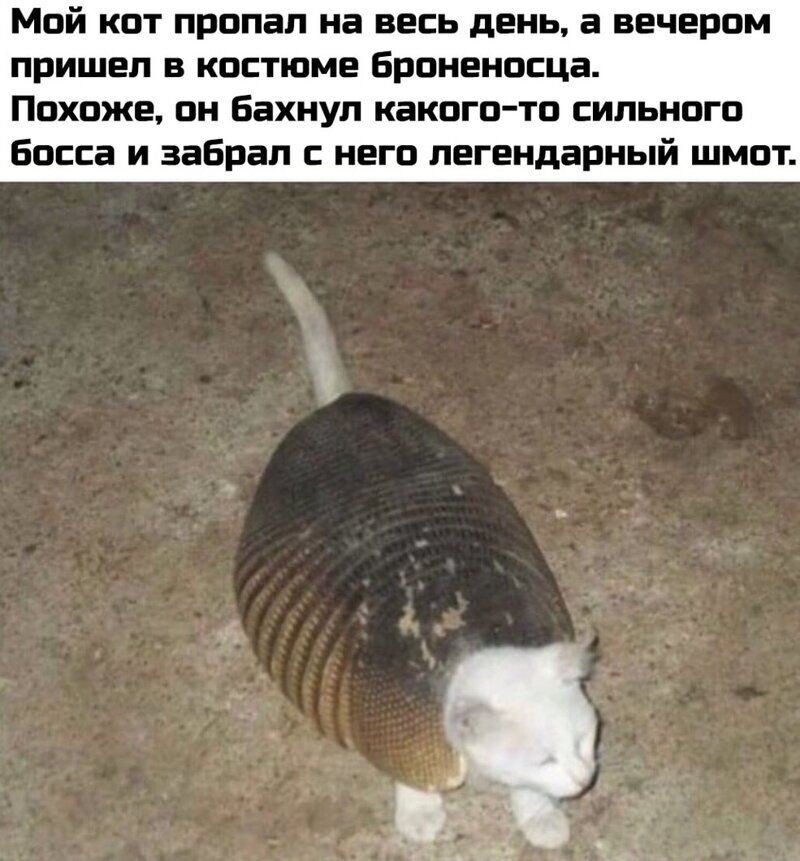 Мой кот пропал на весь день а вечером пришел в костюме Броненосца ПОХОЖЕ ПН Бахнул КЗКОГПТП СИЛЬНОГП босса И забрал НЕГО ЛЕГЕНДЗРНЬЙ ЩМПТ