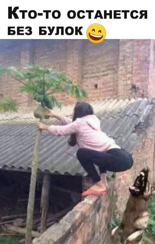 Кто то остднвтся ввз БУПОК ч 1