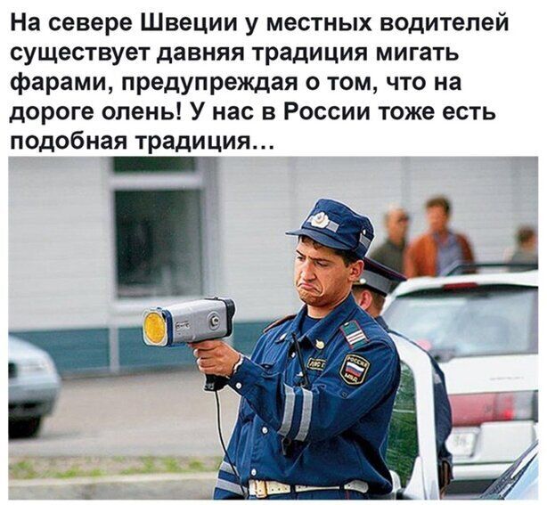 На севере Швеции у местных водителей существует давняя традиция мигать фарами предупреждая о том что на дороге олень У нас в России тоже есть подобная традиция