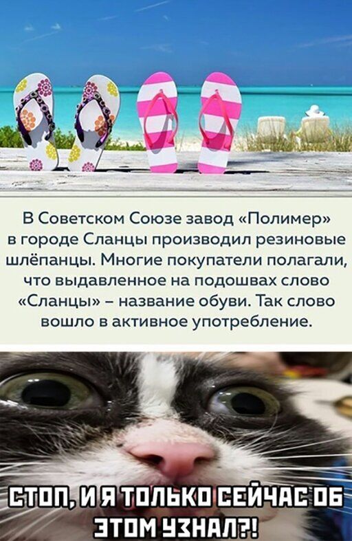 В Советском Союзе завод Полимер в городе Сланцы производил резиновые шлёпанцы Многие покупатели полагали ЧТО выдавпенное на ПОДОШВаХ СЛОВО Сланцы название обуви Так слово ВОШЛО В активное употребление 511191 И П тППЕКПБЕЙЧ ПЕ ЗТПМ НЗНПЛЩ