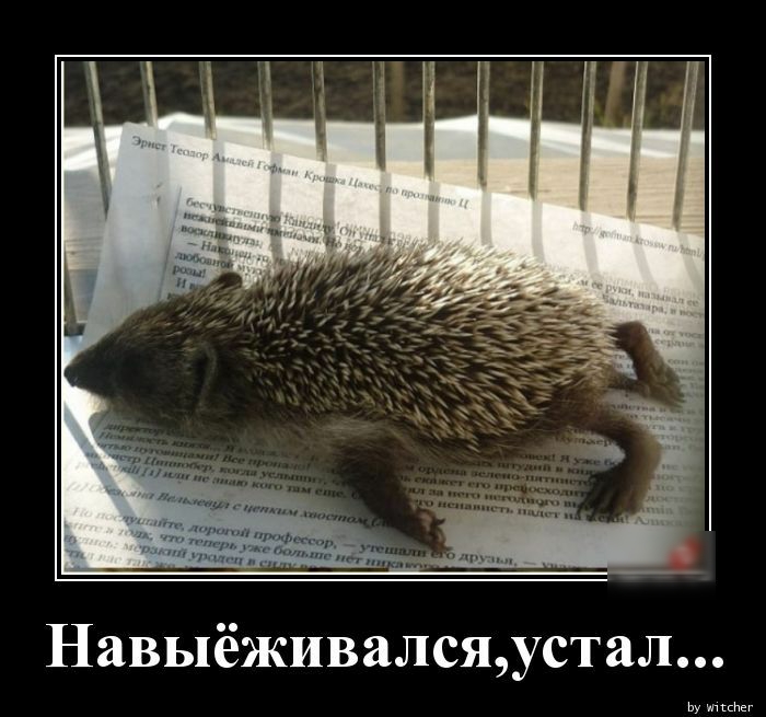 Навыёживалсяустал Ьу мы