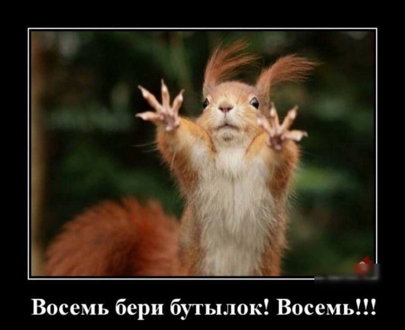 Восемь бери бутылок Восемь