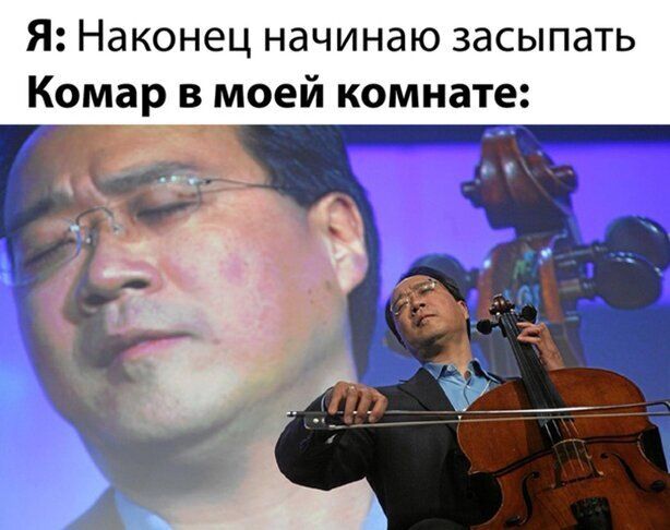 Я Наконец начинаю засыпать Комар в моей комнате