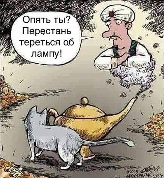 Опять ты Перестань тереться 06