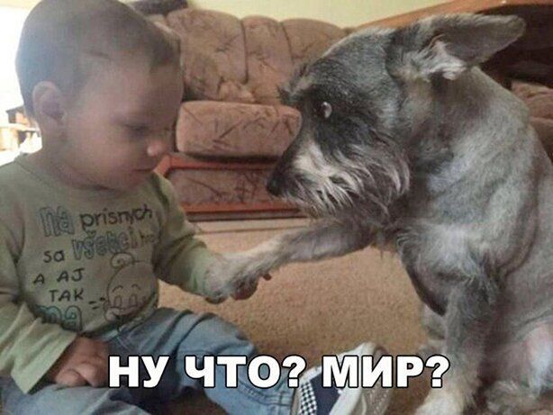 т и г