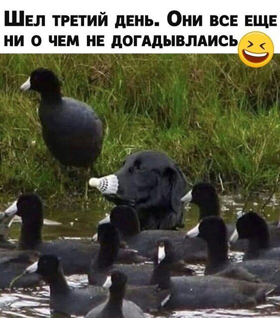 ШЕЛ трвтий день Они вс ЕЩЕ ни О ЧЕМ НЕ дОГАДЫВЛАИСЬ А 1 Т_Р Й э Р _ г 4 А _ 1 5 __д 7 _ ___