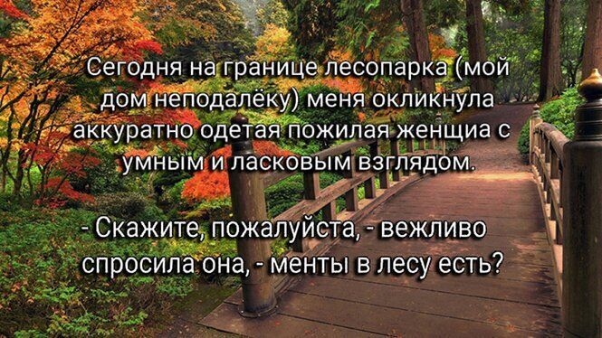 а гвежл во мую А менты в лесу есть