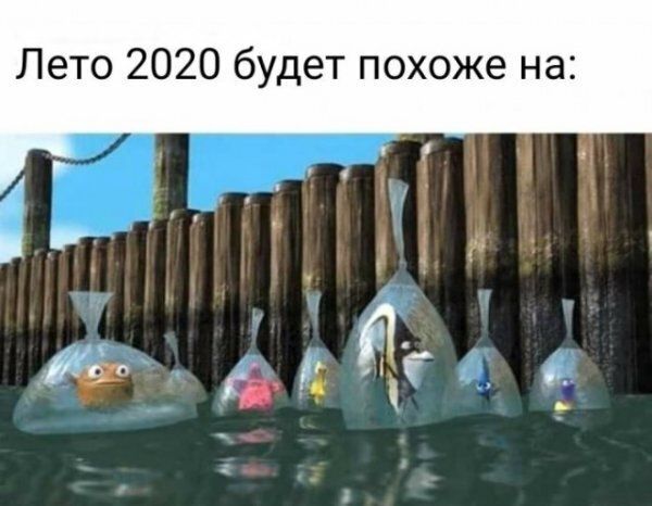 Лето 2020 будет похоже на