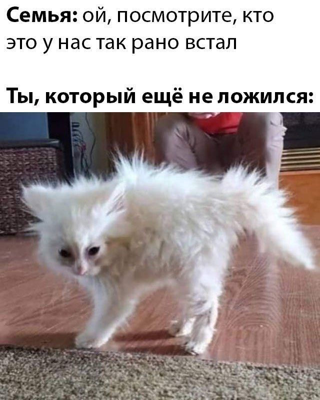 Семья ой посмотрите кто это у нас так рано встал Ты который ещё не ложился