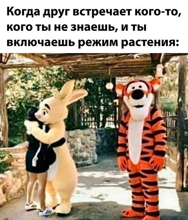 Когда друг встречает кого то кого ты не знаешь и ты включаешь режим растения Ш _