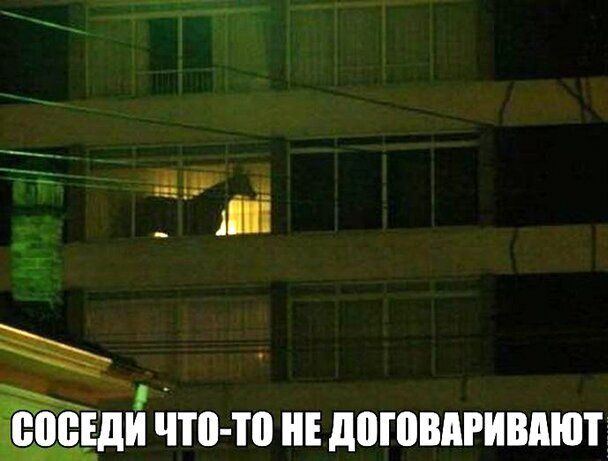 _ _ЦЁ Пь ісосЕди что то Е дпювмивдют