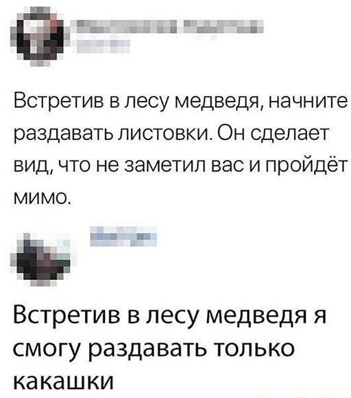 Встретив в лесу медведя начните раздавать листовки Он сделает вид что не заметил вас и пройдёт мимо Ъ ВСТРЕТИВ В ЛЕСУ МЕДВЕДЯ Я СМОГУ раздавать ТОЛЬКО какашки