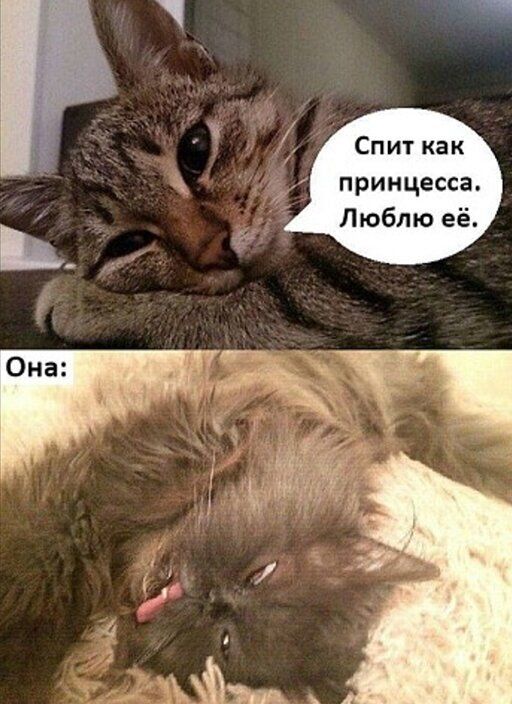 Спит как принцесса Люблю её