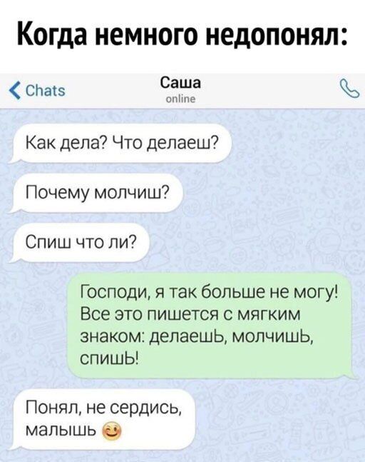 Когда НЕМНОГО НЁДОПОНЯШ СПвіз Саша иг Как дела Что делаеш Почему мопчиш Спиш что ли Господи я так больше не могу Все это пишется с мягким знаком делаешь молчишь спишЬ Понял не сердись мапышь