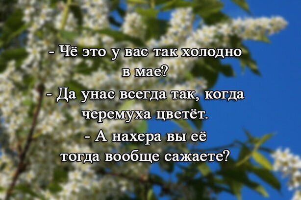 Да іунцсдвсетдёгтдкс когда дуёа цветёт _ А нахёра вы её тцопда йообще саЖаете 4
