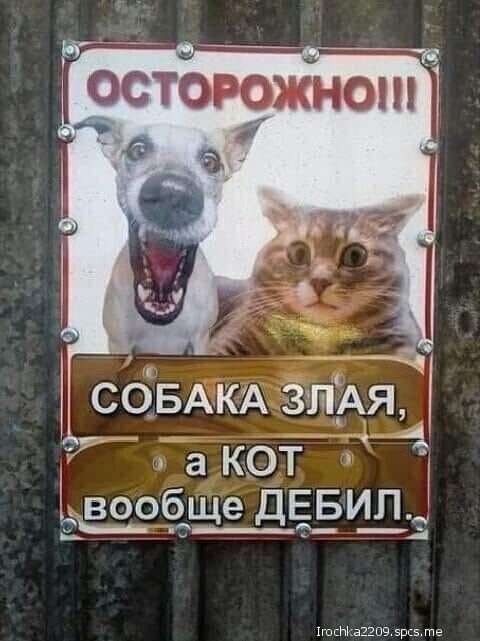 СОБАКА зпЁАя а кот ъ ёЭРЁЩе ДЕБИЛ А _ч_ е_ __ 1тсаЗ2п9 5рс5 те