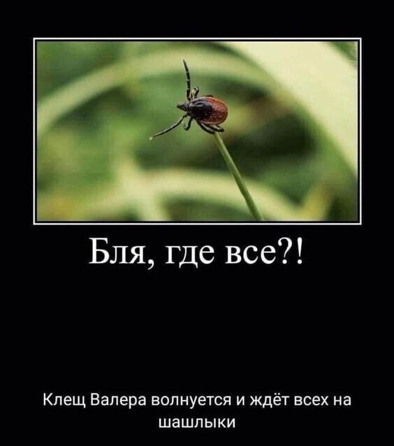 Бля где все Клещ Валера волнуется и ждёт всех на шашлыки