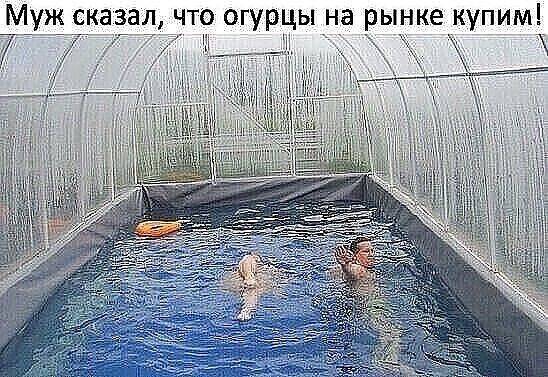 Муж сказал что огурцы на рынке купим