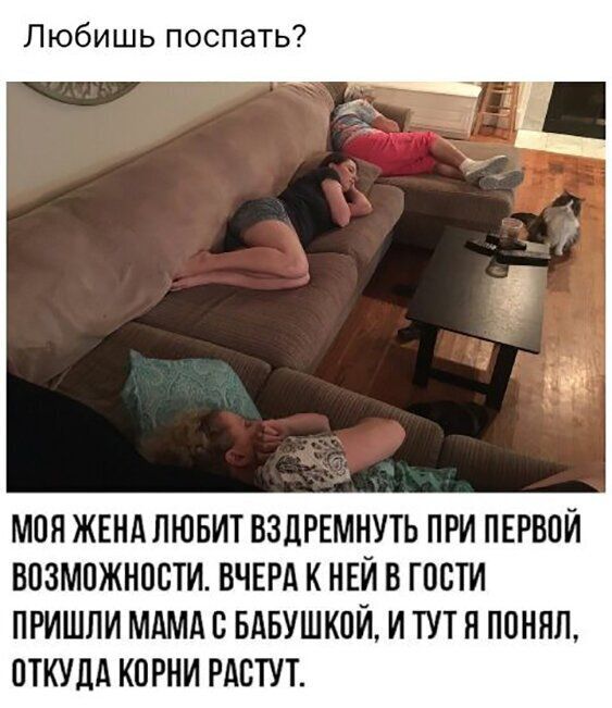 Любишь поспать МОЯ ЖЕНА ЛЮБИТ ВЗДРЕМНУТЬ ПРИ ПЕРВОЙ ВОЗМОЖНОСТИ ВЧЕРА К НЕЙ В ГОСТИ ПРИШЛИ МАМА В БАБУШКПИ И ТУТ Я понял ОТКУДА КОРНИ РАВТУТ