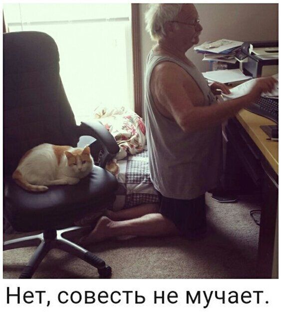 НЭТ СОВЕСТЬ НЭ МУЧЭЭТ