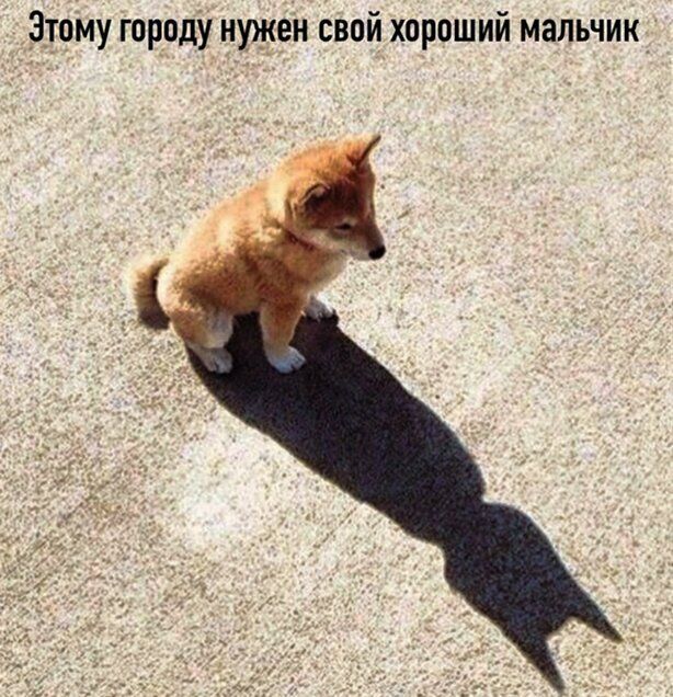 Этому городу нужен свой хороший мальчик