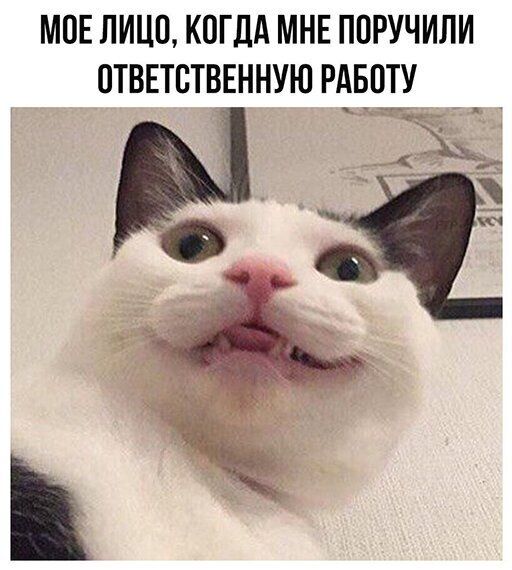 МОЕ ЛИЦП КОГДА МНЕ ППРУЧИЛИ