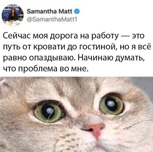 ЗатапсЬа Май _ ЗатаптаМат Сейчас моя дорога на работу это путь от кровати до гостиной но я всё равно опаздываю Начинаю думать что проблема во мне